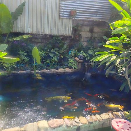 Vang Vieng Champa Hotel المظهر الخارجي الصورة