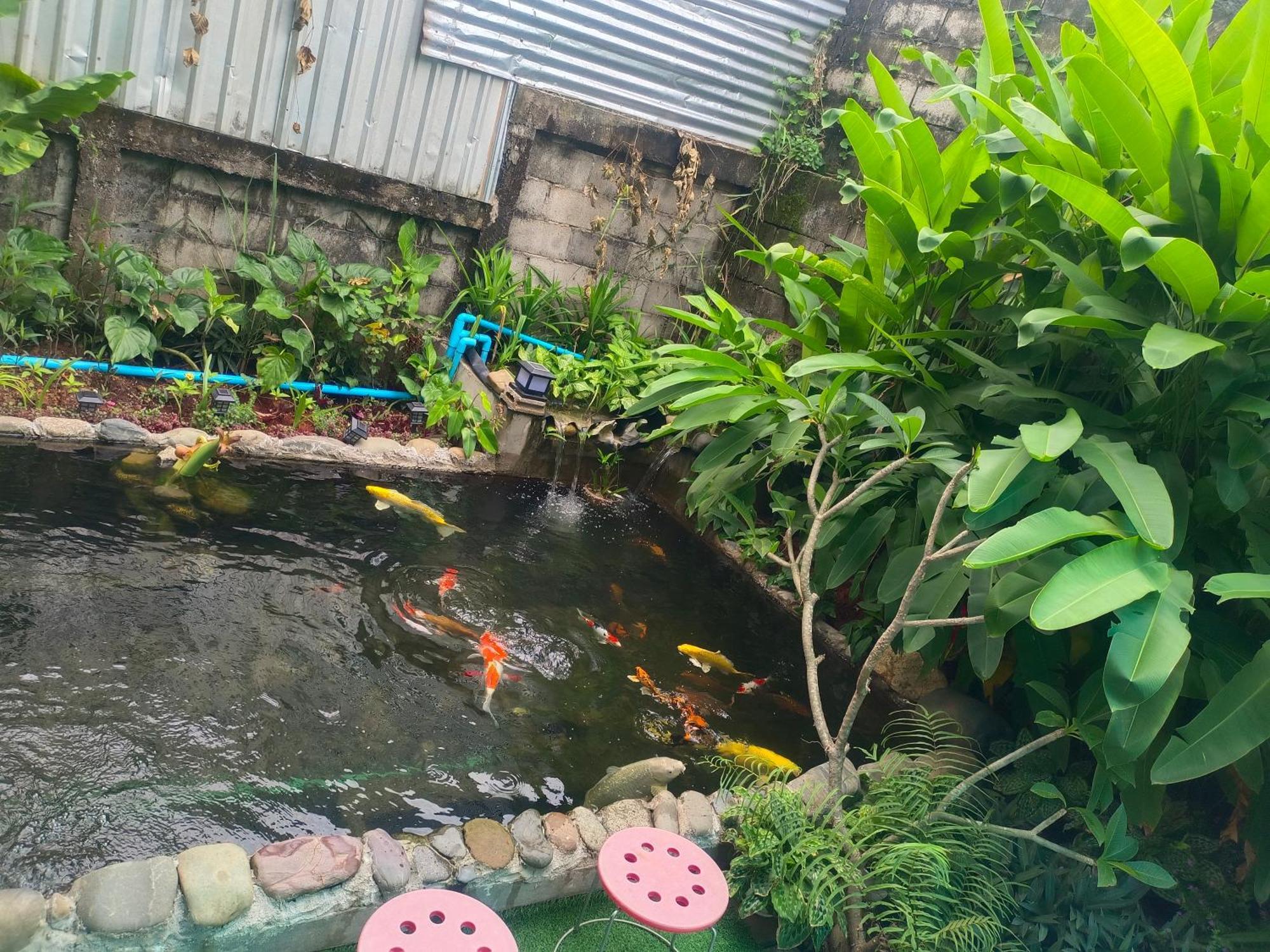 Vang Vieng Champa Hotel المظهر الخارجي الصورة