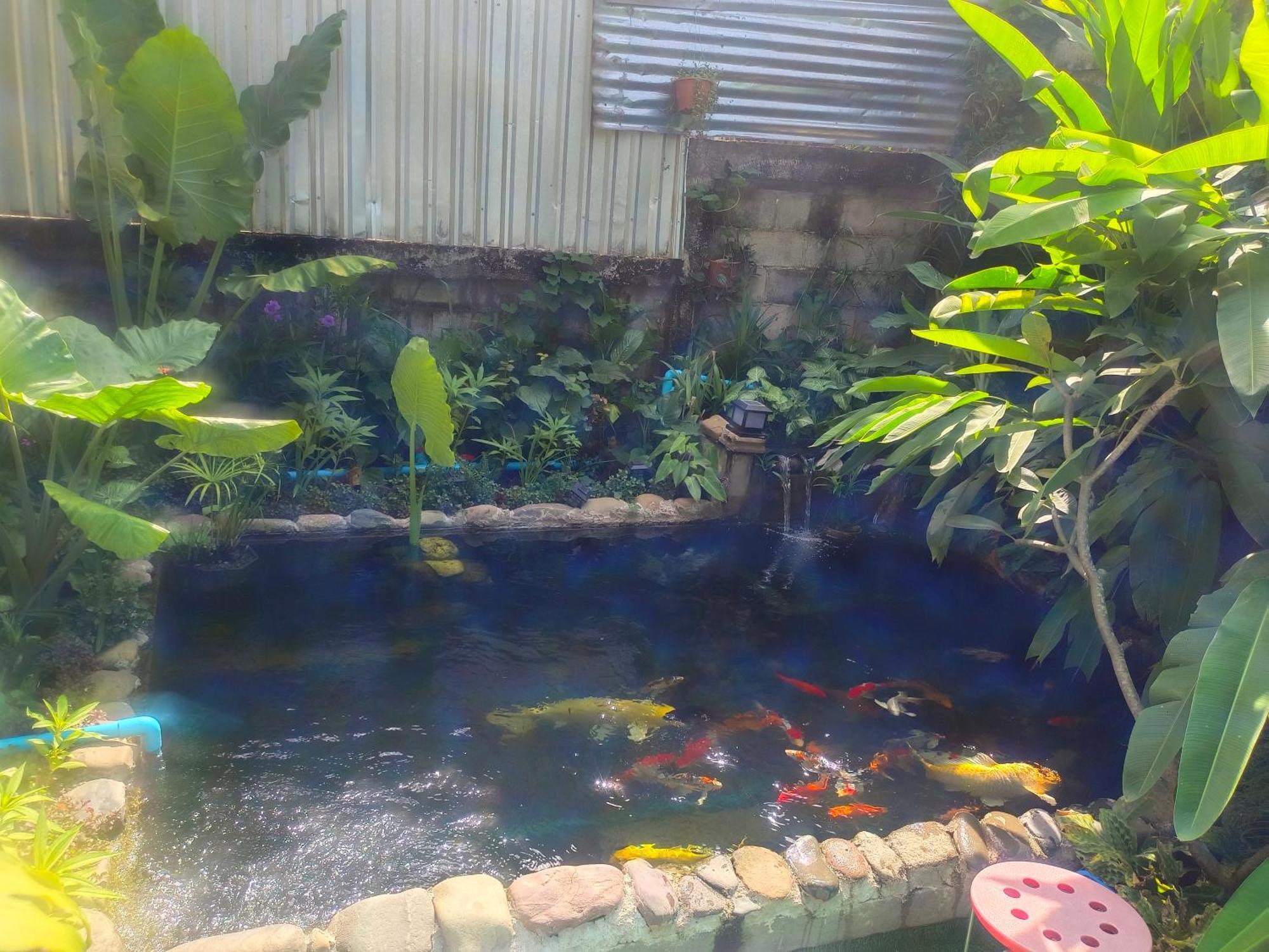 Vang Vieng Champa Hotel المظهر الخارجي الصورة